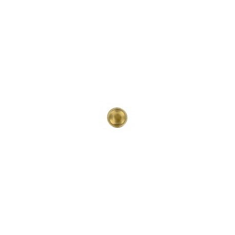 plato & blonda erik oro 25cms diametro dorado carton (pack 100 unid.)