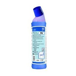 room care R6 (1 envase 0,75lts)