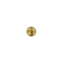 plato & blonda erik oro 25cms diametro dorado carton (pack 100 unid.)