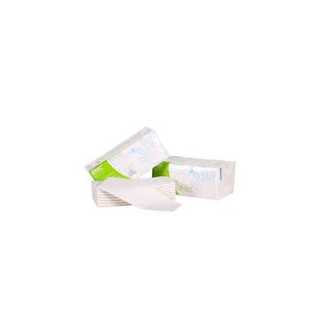 toalla mano 2/c eco 23,3x23 xtrasec caja 3840 T. (1 caja)