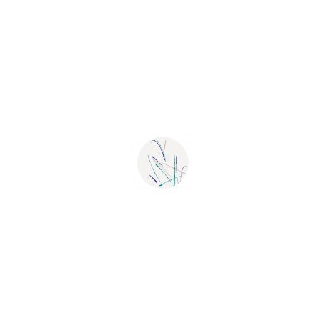 posavasos volare 9cms blanco cartoncillo (1 pack 500 unid.)